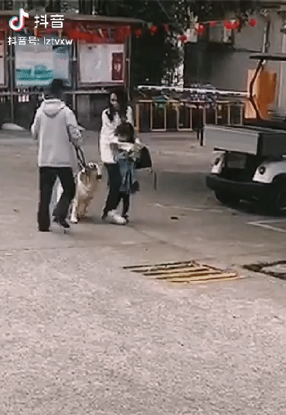 鬼獒图片:为什么一些人说不要养藏獒？