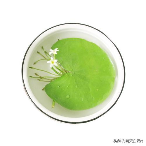 一叶兰l小盆怎样换大盆:一叶兰适合用大盆还是小盆 刚买回家的文竹怎样换盆？