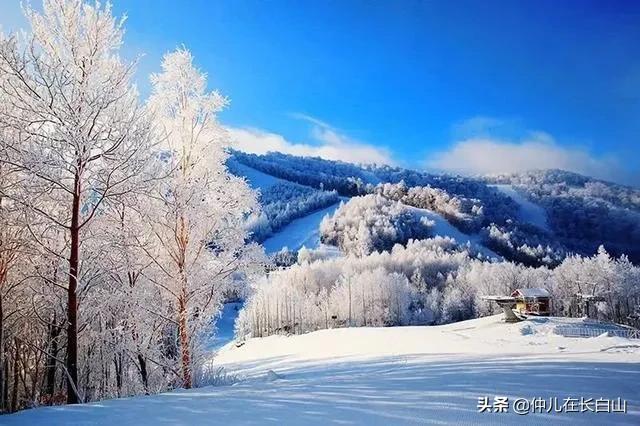 奇闻异事录 小说东北山野密闻，你和东北人发生过哪些有趣的事