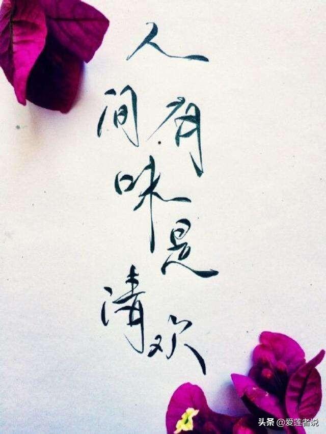 浅笑醉红楼何以渡清欢什么意思你怎么看