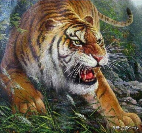 生肖属虎的人最恨什么，十二生肖中，属虎的人最可怕的一面是什么？