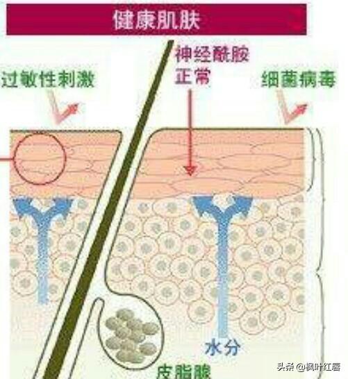 皮肤卡粉浮粉怎么改善，怎么解决秋冬皮肤干燥卡粉、浮粉等问题