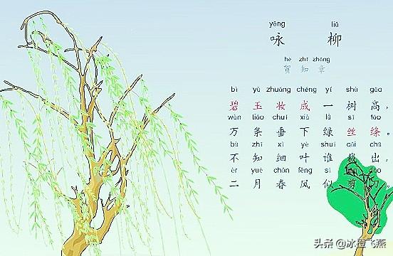 这首咏物诗写的是早春二月的杨柳.