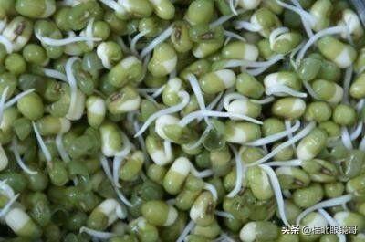 想自己生绿豆芽吃,用什么方法生豆芽才好吃呢？