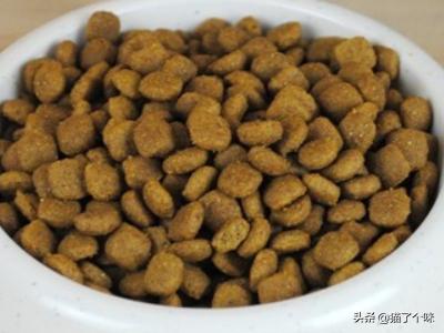 德牧趴蹄会自己好吗:德牧犬需要打什么样的疫苗？