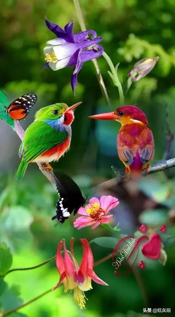 出联1322上联鸟语花香九州春光好如何对下联