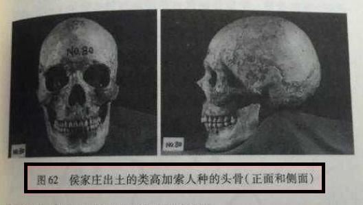 小河公主复原图片:雅利安人为何没能征服上古中国？