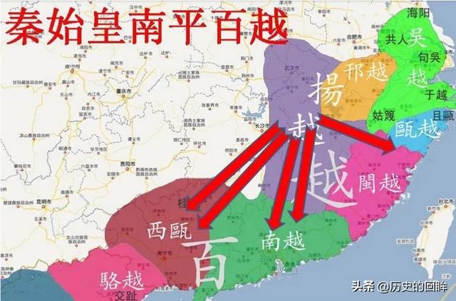 南造云子:一颗半夏种子可以长几颗怎么养护好
