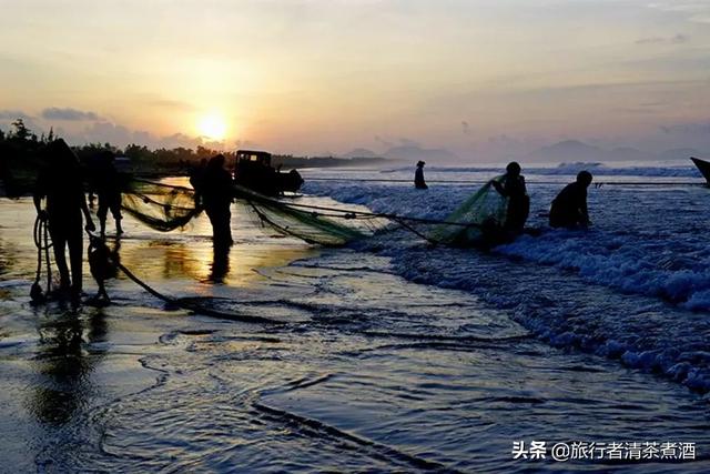 现在赶海视频挺火的。那你正好来到海边遇见退潮，你会去赶海吗