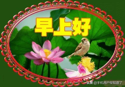 适合早晨发<a href=https://maguai.com/list/256-0-0.html target=_blank class=infotextkey><a href=https://maguai.com/list/256-0-0.html target=_blank class=infotextkey>朋友圈</a></a>的图片:怎么委婉拒绝每天向你问早安的人？(天天跟你说早安的男人)