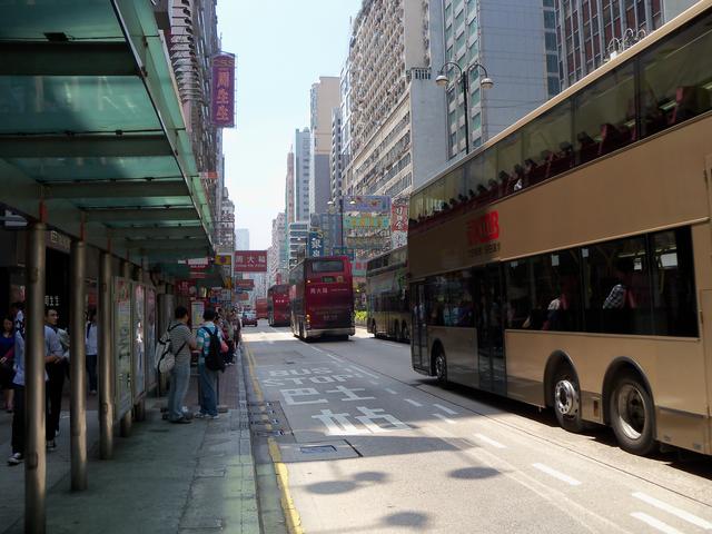 北京泰迪狗专卖狗伯乐:30岁了怎样做才能年入30万？
