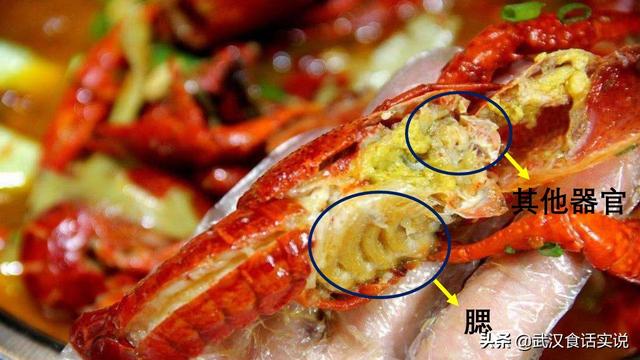 虾头到底能不能吃，小龙虾头到底能不能吃吃了对身体有害吗