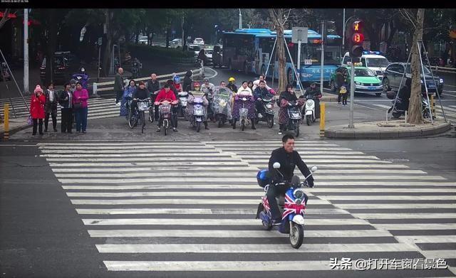 狗狗绿灯过马路:狗狗不是色盲么，怎么会有狗狗等绿灯过马路的新闻？
