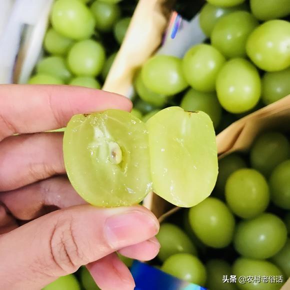 阳光玫瑰葡萄空心是什么原因？