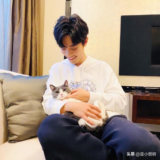 娱乐圈里有没有眼睛干干净净的明星呢？