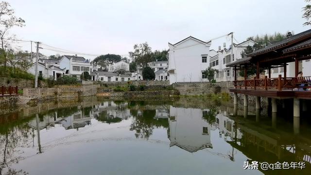 农村有什么吸引你的地方？插图23