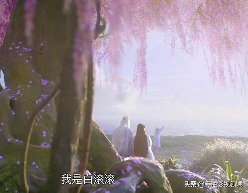 白滚滚第几集出生:《三生三世枕上书》白凤九的儿子为什么叫白滚滚？