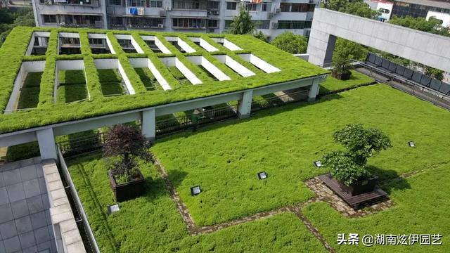 我家住在顶楼，最近想在楼顶搞一个空中花园，能否请大家提供好思路？插图4