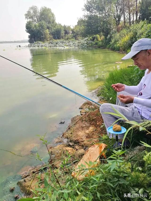 中华媒鸟论坛:一直不明白钓鱼者的心态，不是为了吃，是在追求什么感觉吗？