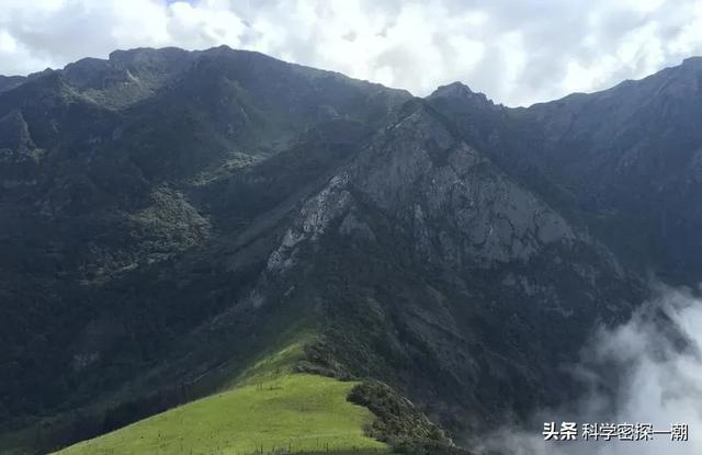 四川黑竹沟最可怕的地方的图片，什么样的动物平时看起来温顺可爱、人畜无害，但其实非常厉害