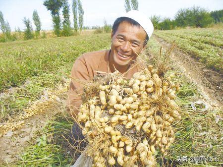农安实验动物用品经销部:在自己家乡种植的农产品，有什么好办法推广出去？