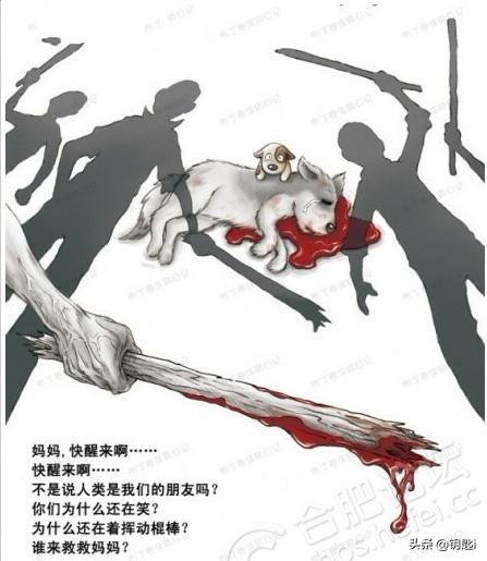 如何才能阻止虐猫者范源庆？