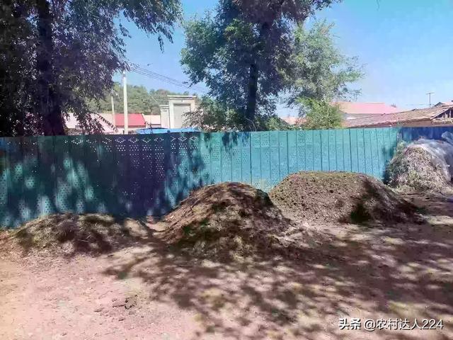 兔粪发酵:兔子排泄物可以直接当肥料吗？