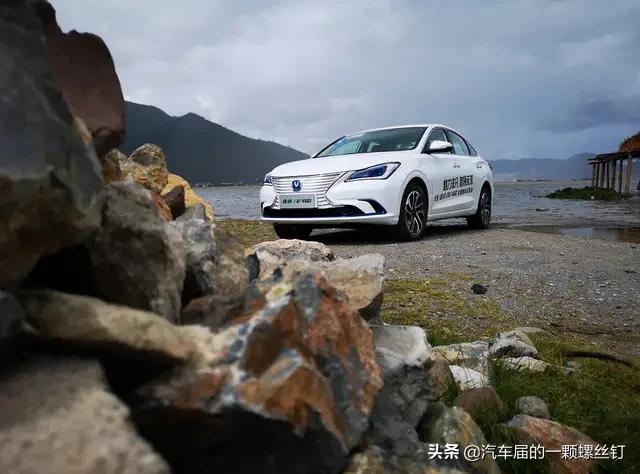纯电动汽车,你觉得哪一款车比较好一点？