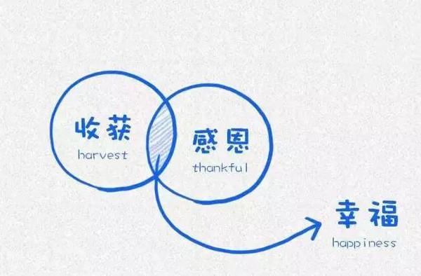 抖音没有播放量怎么办？