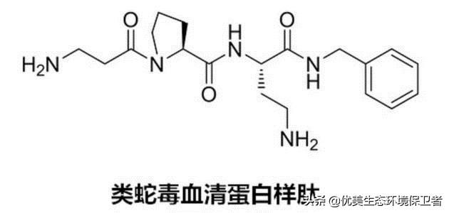 农村老人说，吃被眼镜蛇咬过的土鸡才是一等一的美味，这是真的吗？插图66