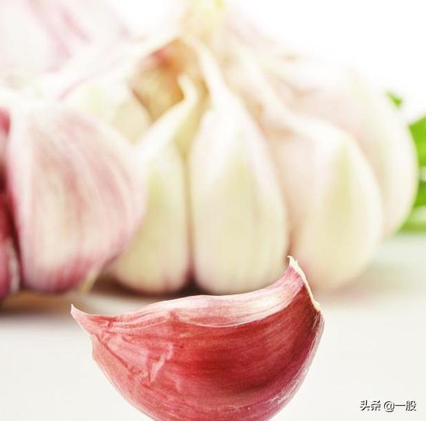 种大蒜,怎么种大蒜，才能让大蒜长大个？