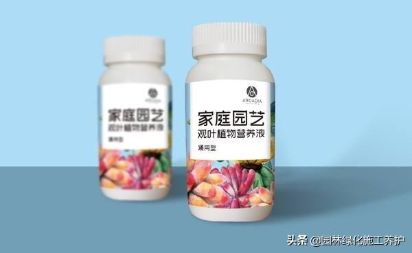 观叶植物营养液花之侣:绿萝黄叶有什么好的营养液吗？