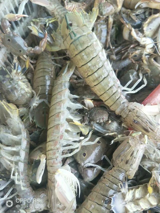 今年春节聊一聊有安排去哪里度假吗？