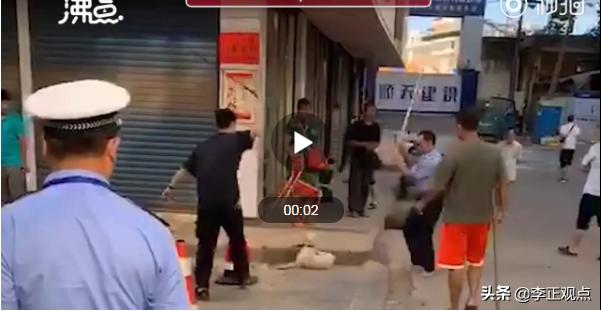 犬打:把家里的泰迪小狗给揍了，它两天没吃东西了该怎么办？