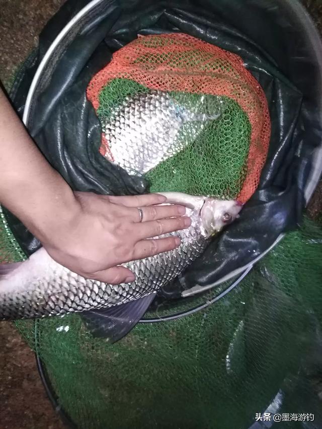 你夜钓的时候遇到过诡异的事吗？