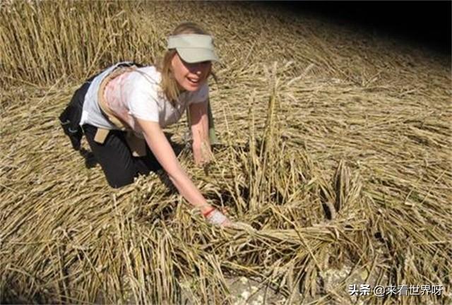 麦田怪圈解密:关于“麦田怪圈”，为什么现在有监控录像了，还发现不了问题所在