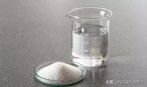 犬钩虫病口腔:狗狗得口腔溃疡怎样治疗？
