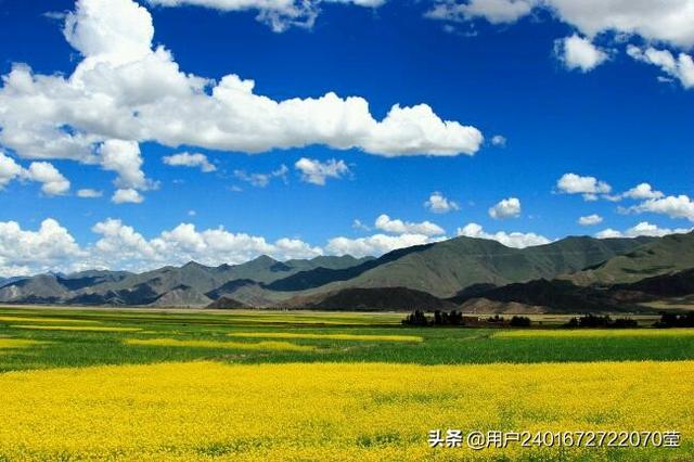 农民搬到城里去该怎么生活？
