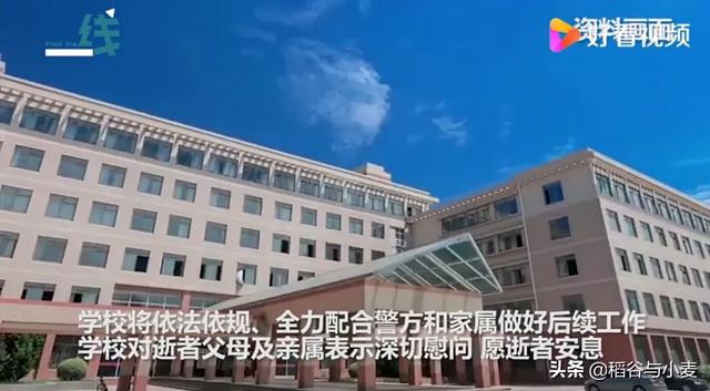 大连男子被刺身亡:如何看待大连理工大学一研究生校内车祸身亡，肇事者为学校教师
