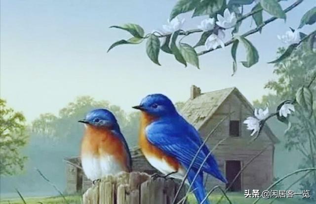 一个35岁的单身男拒绝22岁单身女的表白可能会是什么原因？