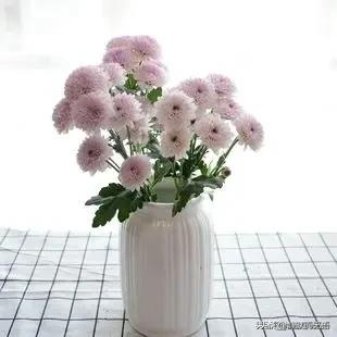 人和房子是讲缘分的,租房子和房东住一起是种怎样的体验？