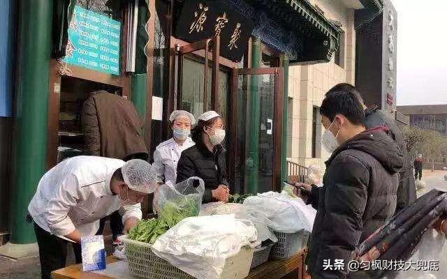 乐乐商城豹猫图片:家住十八线城市的你，用过京东的哪些服务？