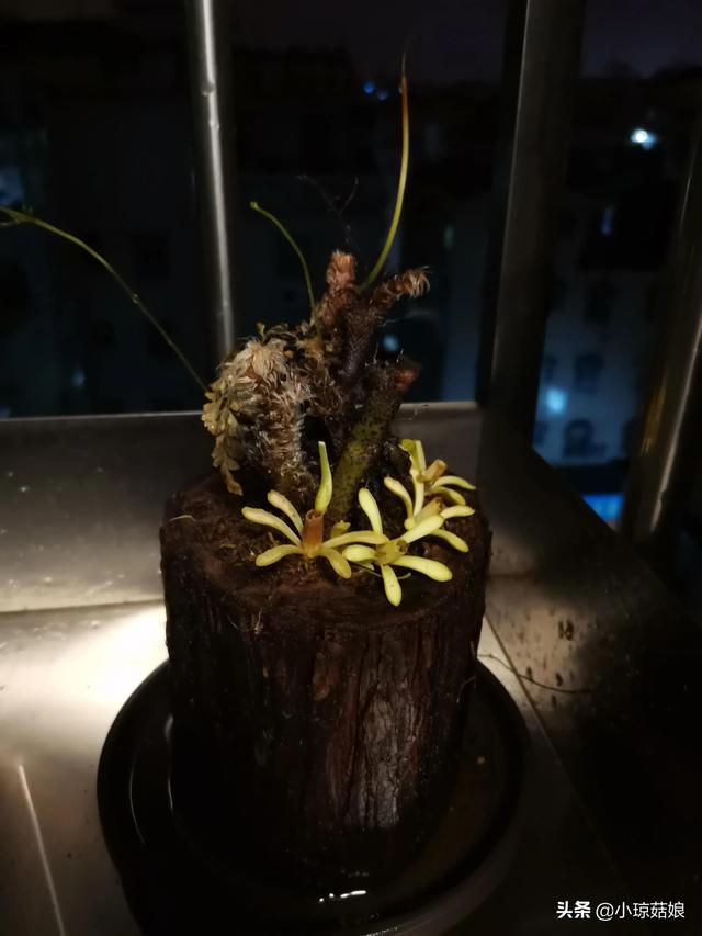 为什么农历的七月十五叫“中元”节？