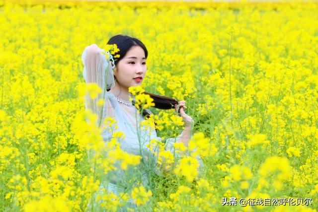 诗词摄影,如何拍出“油菜花开金黄色,蕙兰香醉远方客”的意境？