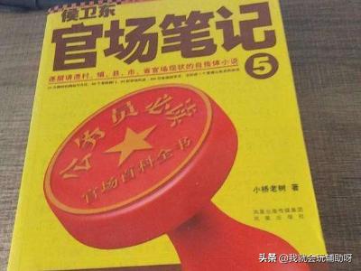 小桥老树:有没有那种，逻辑思维缜密适合听的官场小说啊？