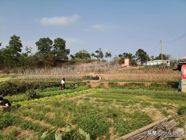 想做一个农家乐有什么建议？做垂钓怎么样？