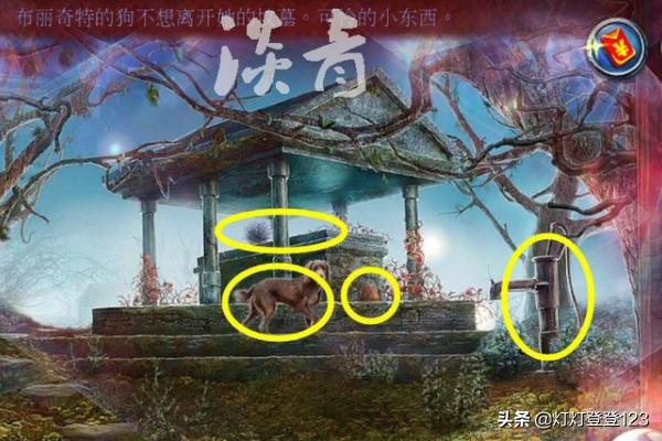 白尾鸢尾花什么里面有添加:密室逃脱15神秘宫殿34关怎么找齐草药制作混合物？