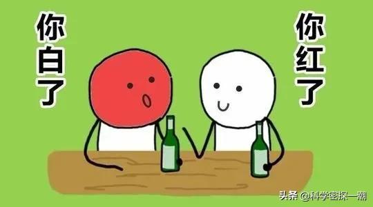 白酒最怕的解药是什么？插图8