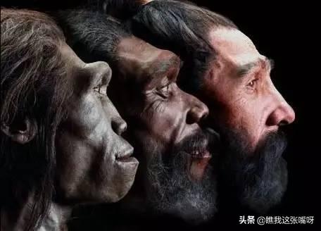 人类起源:讲述人类起源的电影有哪些推荐