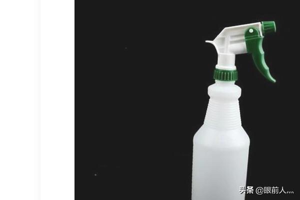 葡萄树的害虫有哪些:为什么阳光玫瑰葡萄有黑点？
